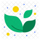 Leaf Spa Wellness Leaf Icon
