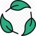 Leaf Tringular Nature Icon