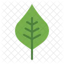 Leaf  Icon