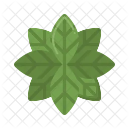 Leaf  Icon