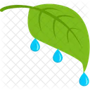 Green Leaf Tea Icon