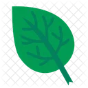 Leaf  Icon