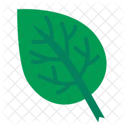 Leaf  Icon