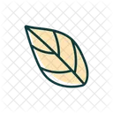 Poplar Leaf Leaf Nature Icon