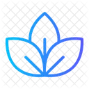 Leaf  Icon