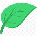 Green Leaf Plant Icon