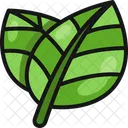 Leaf Leaves Green Icon