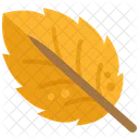 Leaf Leaves Autumn Icon