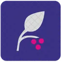 Leaf Plant Berry Icon