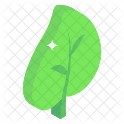 Leaf  Icon