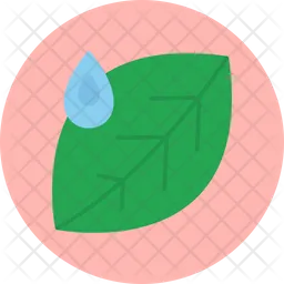 Leaf  Icon