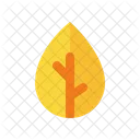 Leaf Dried Leaves Nature Icon