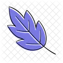 Leaf Plant Botanical Icon
