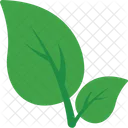 잎 자연 녹지 아이콘