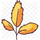Plant Leaf Nature Icon