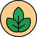 Leaf  Icon