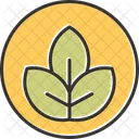 Leaf  Icon