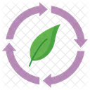 Leaf Re Cycle Reload Icon
