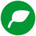 Plant Leaf Icon