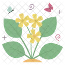 Leaf Butterfly Spring Icon
