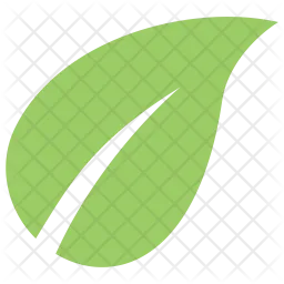 Leaf  Icon