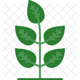 Leaf  Icon