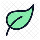 Co Leaf Icon