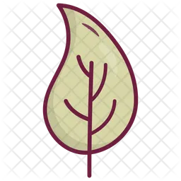 Leaf  Icon