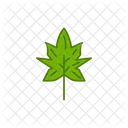 Leaf Green Nature Icon