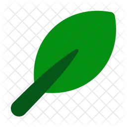 Leaf  Icon