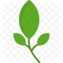 Leaf Leaves Branches Icon