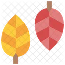 Leaf Leaves Autumn Icon