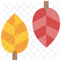 Leaf  Icon