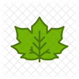 Leaf  Icon