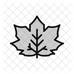 Leaf  Icon