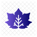 Leaf Maple Nature Icon
