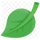 Leaf Structure Veins Icon