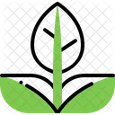 Leaf Nature Eco Icon