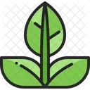 Leaf Nature Eco Icon