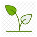 Leaf Plant Crops Icon