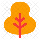 Leaf  Icon