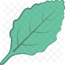 Leaf  Icon