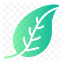 Leaf Drop Leaf Table Plant Icon