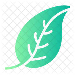 Leaf  Icon