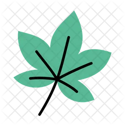 Leaf  Icon