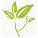 Leaf Tree Plant Icon