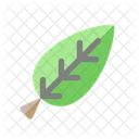 Leaf Organic Fresh Icon