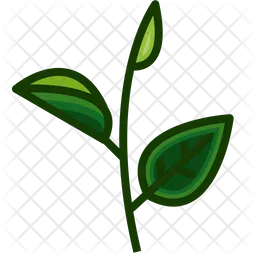 Leaf  Icon