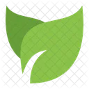 Leaf  Icon