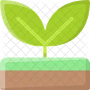 Leaf Sprout Growth Icon